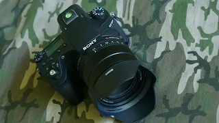 Sony RX10 IV - Our do it all travel camera (Nature, Wildlife and Slow Motion)