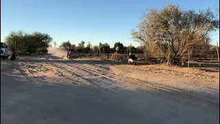 Chavo Salvatierra en las pruebas previas a la Baja 1000 que se correrá en México.