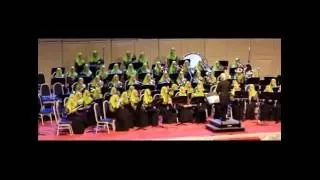 Festival Wind Orchestra SBP 2016 : TKC - The Star of Dreams