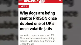 Why dogs are being sent to prison once dubbed one of the UK's most volatile jails