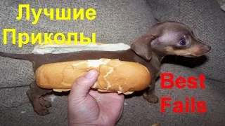 Best Fails §☼Лучшие Приколы §☼ Epic Fail Forever®