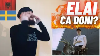 🇦🇱🇸🇪 ELAI - Ca Doni? [HYPE UK 🇬🇧 REACTION!]