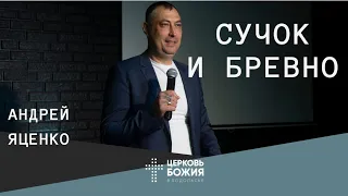 Сучок и бревно | Андрей Яценко | (23 июля 2022)