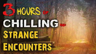 Almost 3 1/2 HOURS of Absolutely CHILLING Cryptid Encounters + MORE