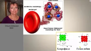 Часто болеют дети? Здоровье ребенка. Лекция врача