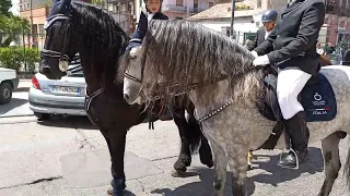 tamburelli è cavalli 🐎 Carretti Sicilia Adrano festa di S. Alfio 2022