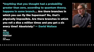 David Wallace on the Implications of the Many-Worlds Theory of Quantum Mechanics