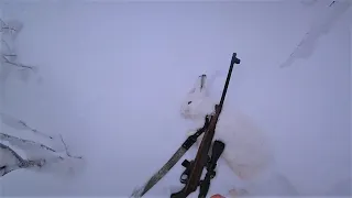 Охота зимой на зайца. Мелкашка TOZ-78-04M. 22lr