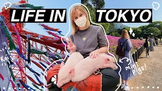 LIFE IN JAPAN | it's golden week!! mini pig cafe in tokyo 🐽 + rural japan + children's day 🎏