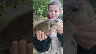 Massive Panfish on Lake lanier