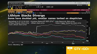 Lithium Craze Sparks Big Gains, Deep Losses