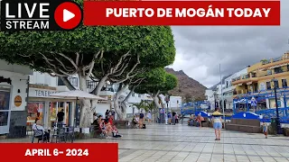 Gran Canaria LIVE - PUERTO DE MOGÁN TODAY - APRIL 6-2024