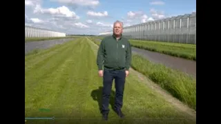 Dutch modern sustainable greenhouse - intro