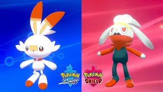 Pokemon Sword Part 4 - Scorbunny Evolves Into Raboot and Wild Area Hunting!