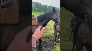 Подготовка к конной прогулке на турбазе Шинок