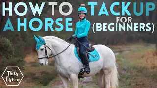 How to TACK UP a HORSE, Parts of the Saddle + Putting a Bridle Together AD This Esme