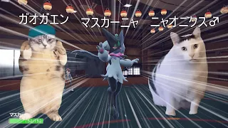 猫三匹でポケモン対戦 #猫ミーム #猫マニ