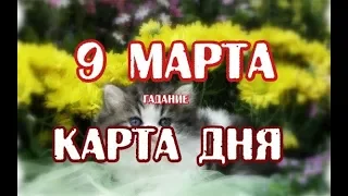 Гадание на 9 марта 2020 года. Карта дня. Таро Мистических Кошек.