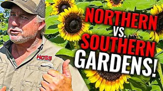 Top 10 Southern Gardening Tricks