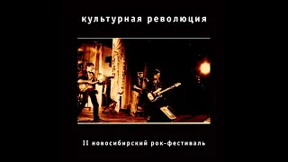 Культурная революция - Выступление на II Новосибирском рок-фестивале (1988)
