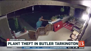 Butler Tarkington plant theft