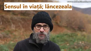 Sensul în viață, lâncezeala - părintele Teologos