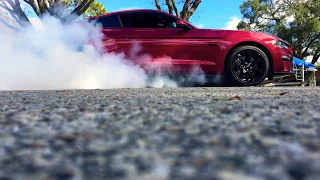 BEST BURNOUT 2019 Ford Mustang GT 5.0