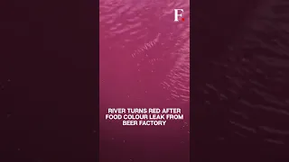 River Turns Red In Japan After Food Colouring Liquid Leaks From A Beer Factory