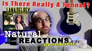 Is there really a tunnel though!? - Lana Del Rey (Natural Reactions)