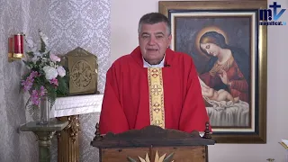Homilía de Hoy | Santa Teresa Benedicta De La Cruz | 09-08-2022 | P. Santiago Martín FM