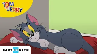 Tom i Jerry Show | Nowy pupil | Cartoonito