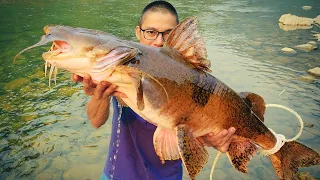 MONSTER GOONCH CATFISH