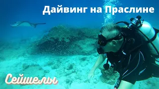 Сейшелы, дайвинг на Праслине c Prodivers