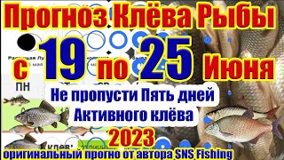 Прогноз клева рыбы на Эту неделю с 19 по 25 Июня Календарь клева рыбы Лунный календарь рыбака