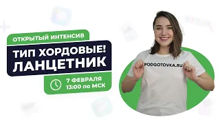 Тип Хордовые. Ланцетник.