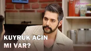 Semih ve Erdem'in Arasında Nur Krizi! | Kısmetse Olur 93. Bölüm