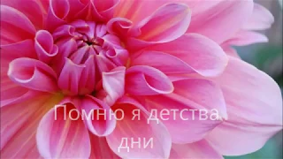 Помню я детства дни