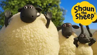 Shaun the Sheep 🐑 Magic Sheep - Cartoons for Kids 🐑 Full Episodes Compilation [1 hour]