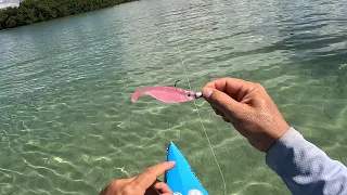 My Favorite Time Of The Year In The Florida Keys + Testing, Testing, Testing.