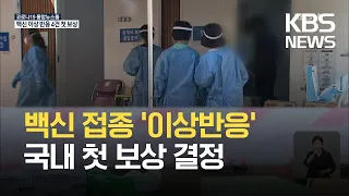 17만 5천 명 추가 백신 접종…‘이상 반응’ 4건에 첫 보상 결정 / KBS 2021.04.29.