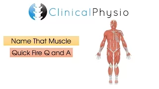 Quick Fire Q & A: Name That Muscle | Clinical Physio