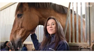 Inside UK's Mounted Police Unit