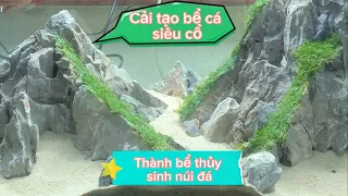 Cải tạo và nâng cấp bể cá siêu cổ thành bể thủy sinh Núi Đá siêu đẹp