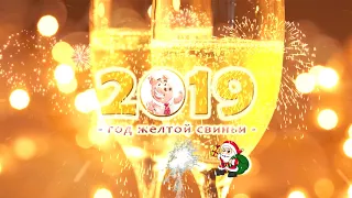 Новый 2019 год Свиньи