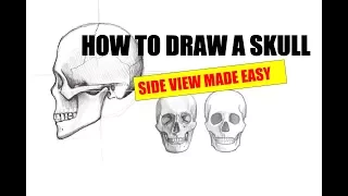 HOW TO DRAW A SKULL: SIDE VIEW - Halloween Special! Apple Pencil drawing tutorial iPad Pro Procreate