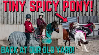 TINY SPICY PONY! HARLOW FALLS OFF AT HER OLD YARD!