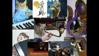 Cat Orchestra (Bad Piggies)