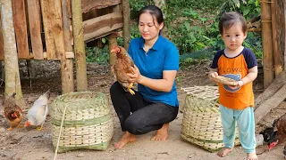 Harvesting Bottle Gourd Goes to market to sell - Handmade Bamboo Basket Weaving Process | Lý Phúc An