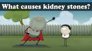 What causes kidney stones? | #aumsum #kids #science #education #children