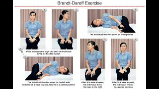 Brandt-Daroff Exercise - Home Therapy for BPPV